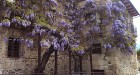 20130429_051