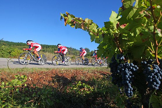 Los ciclistas entrenando este sábado a su paso por una zona de viñedo (César Sánchez)