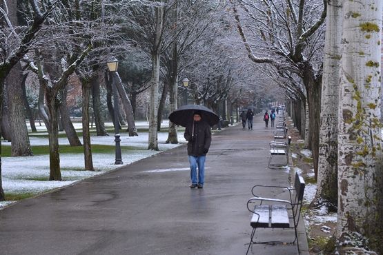 PASEO CON NIEBLE PARKE PLANTIO