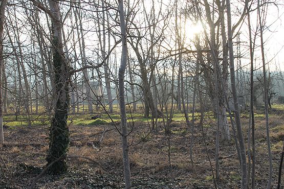 Por este paraje de Villalibre caminó el pequeño Macías, desde su casa, a escasos 400 metros