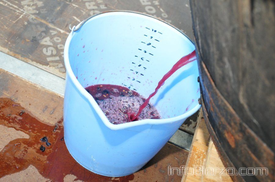 20140831-Fiesta-Vendimia-Cacabelos