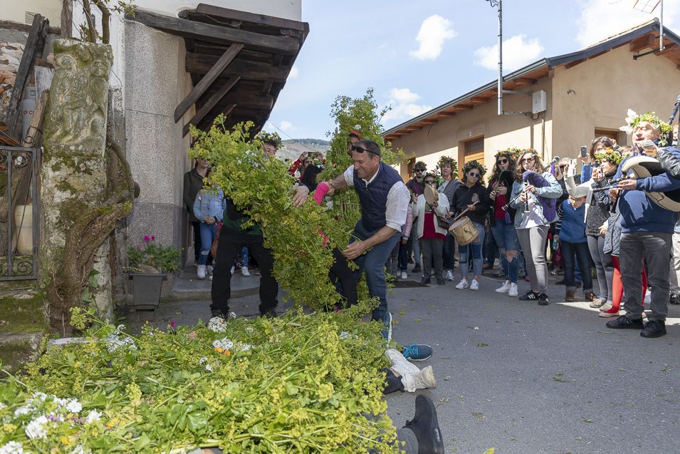 Los Mayos de Villafranca