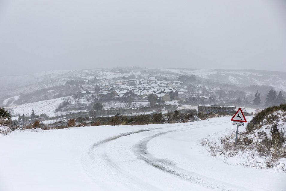 Nevada 1 Febrero 2019