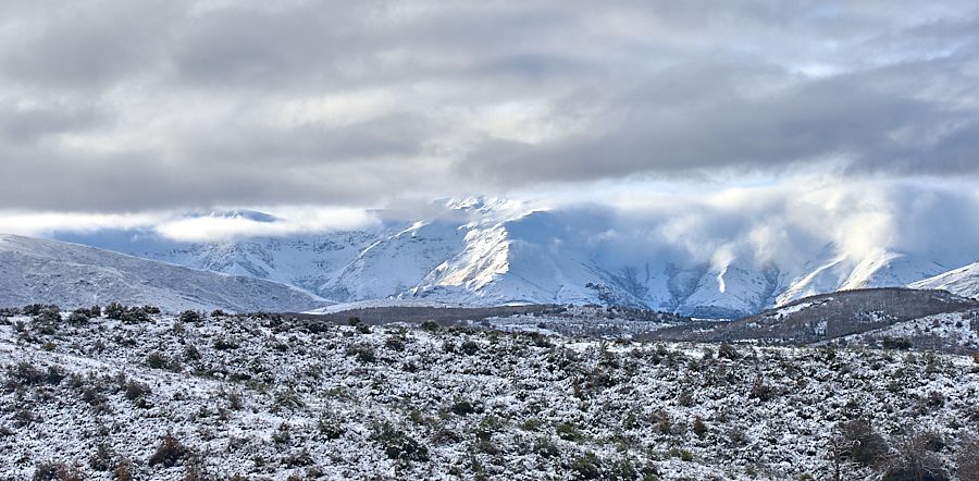 Acebo nieve 2019 Acebo nieve 2019