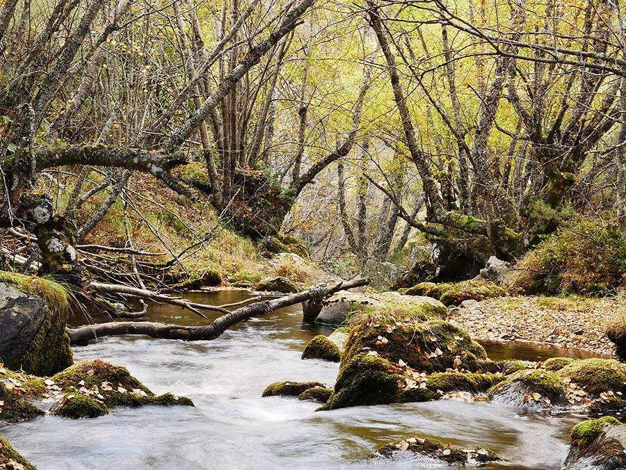 RUTA COLINAS DEL CAMPO - CAMPA DE SANTIAGO