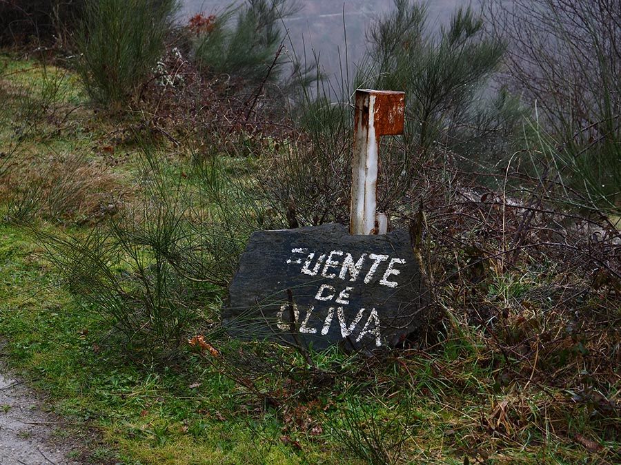 RUTA RUIDEFERROS A FUENTE DE OLIVA (BALBOA)