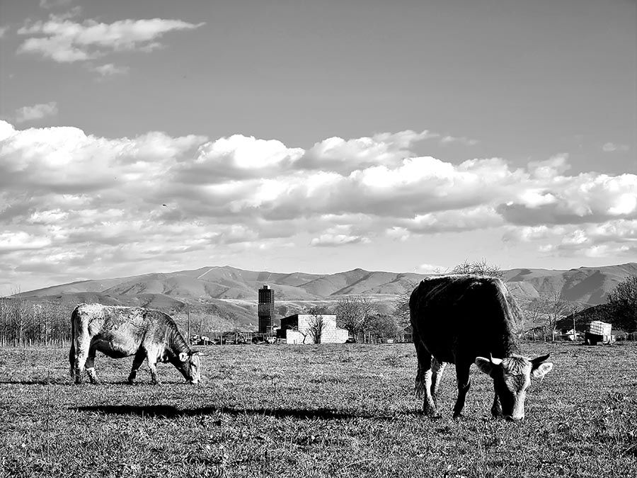 TORRE DE LA ROSALEDA (#esfeaperoesnuestraylaqueremos TORRE DE LA ROSALEDA (#esfeaperoesnuestraylaqueremos