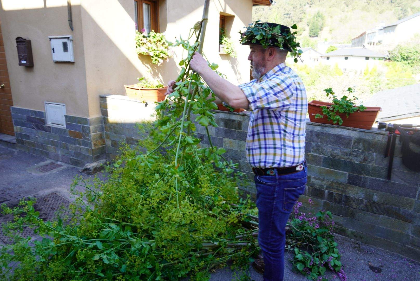 Os Maios de Villafranca