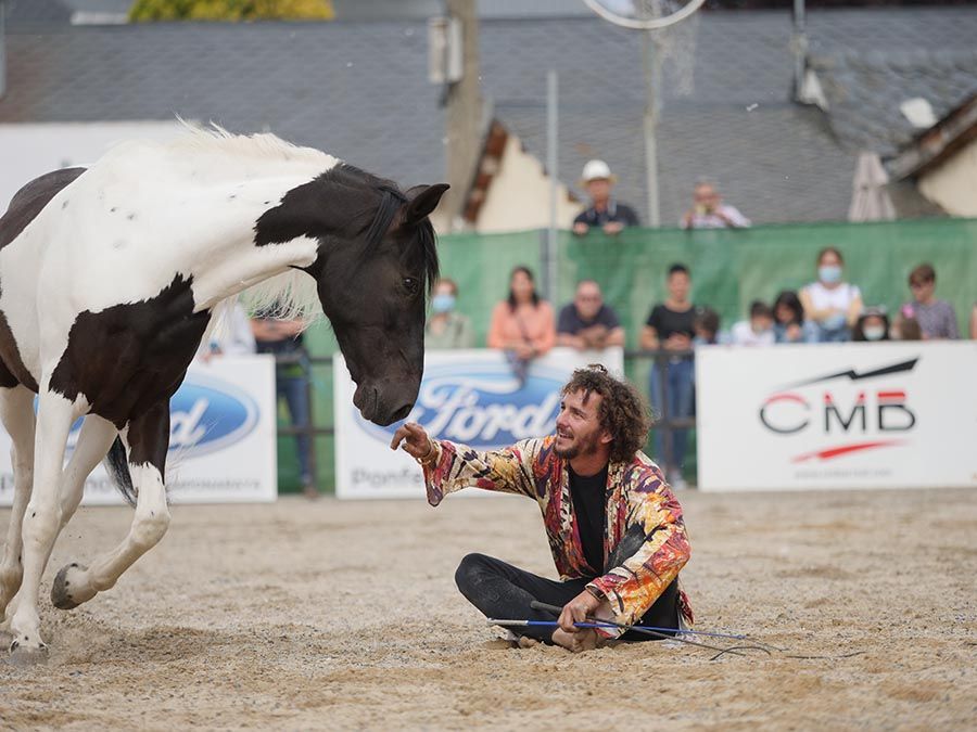Feria del Caballo de Camponaraya 2022
