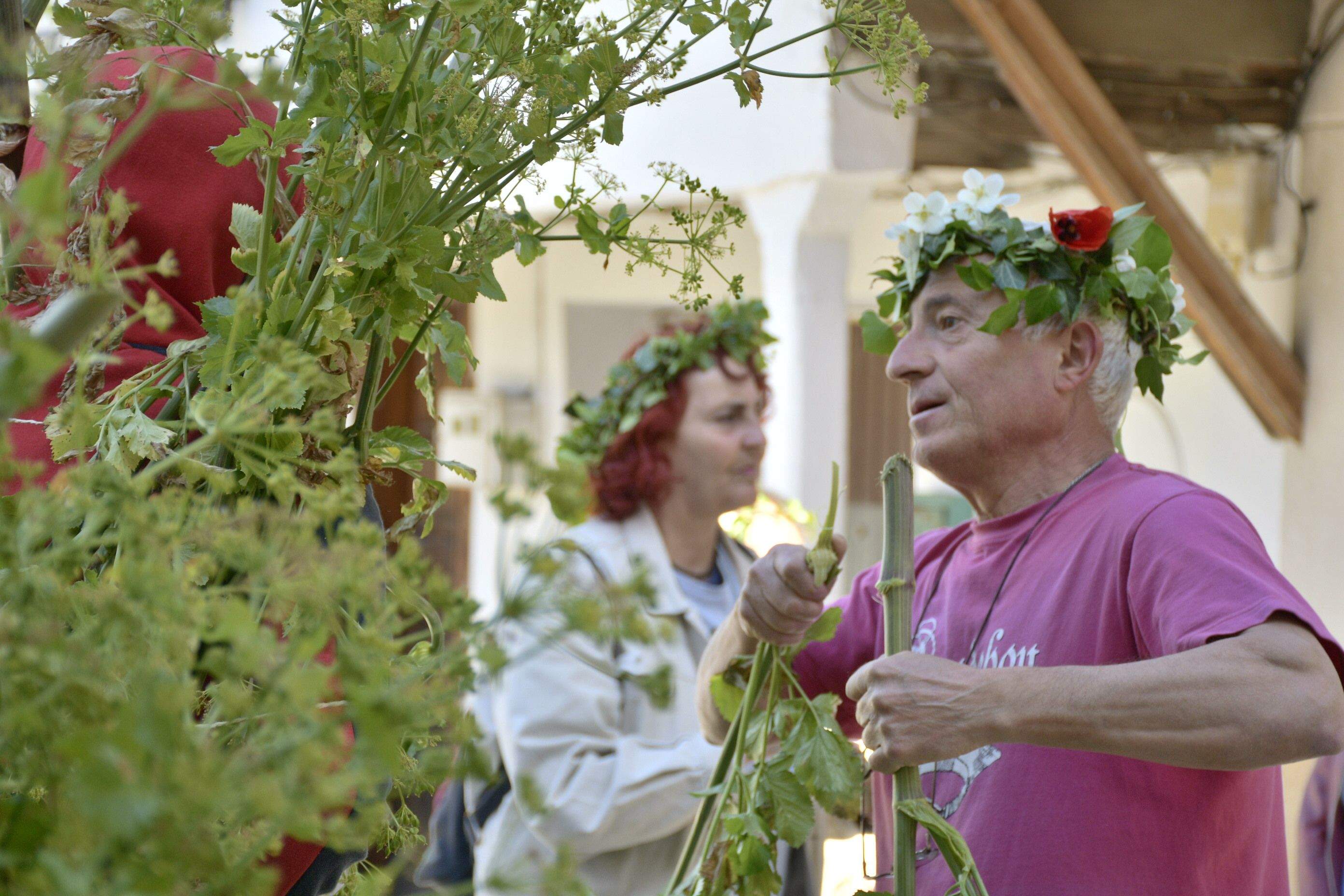 Fiesta de los Maios Villafranca del Bierzo 2023