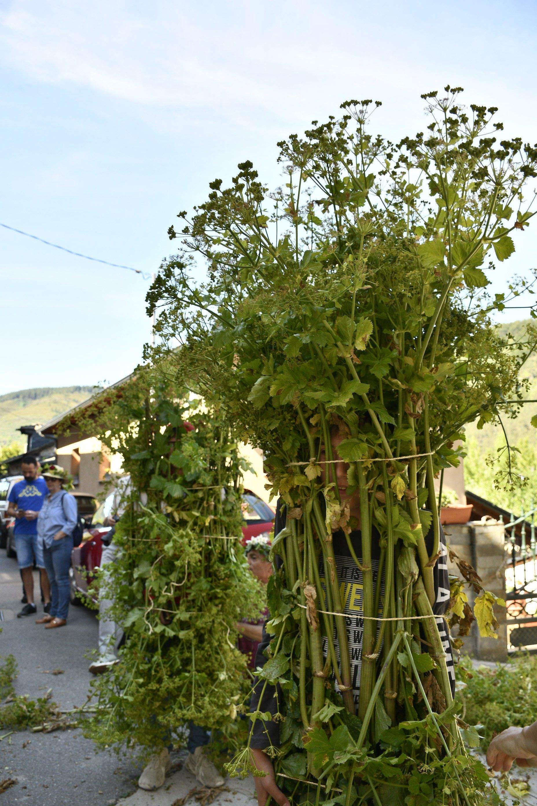 Fiesta de los Maios Villafranca del Bierzo 2023