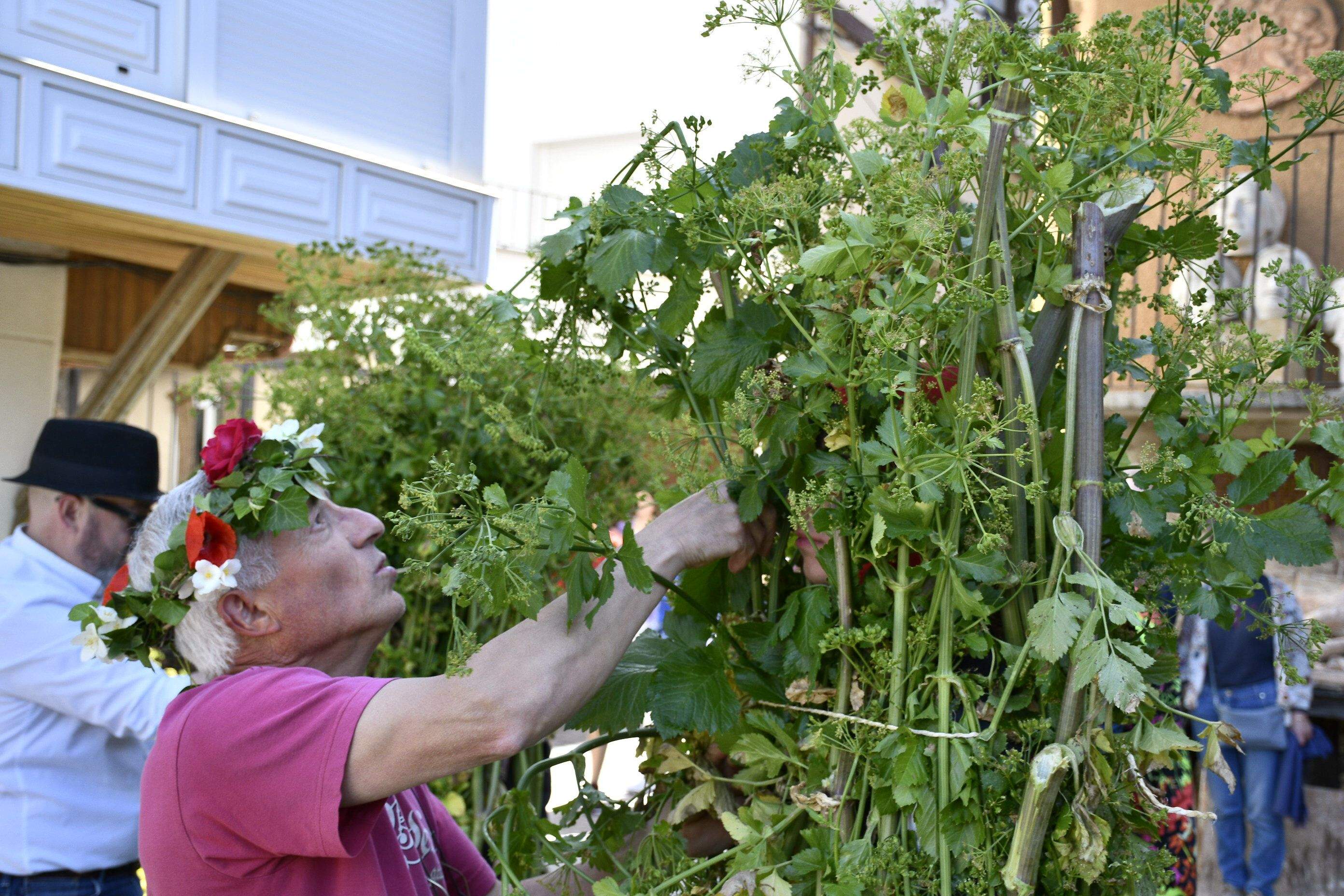 Fiesta de los Maios Villafranca del Bierzo 2023