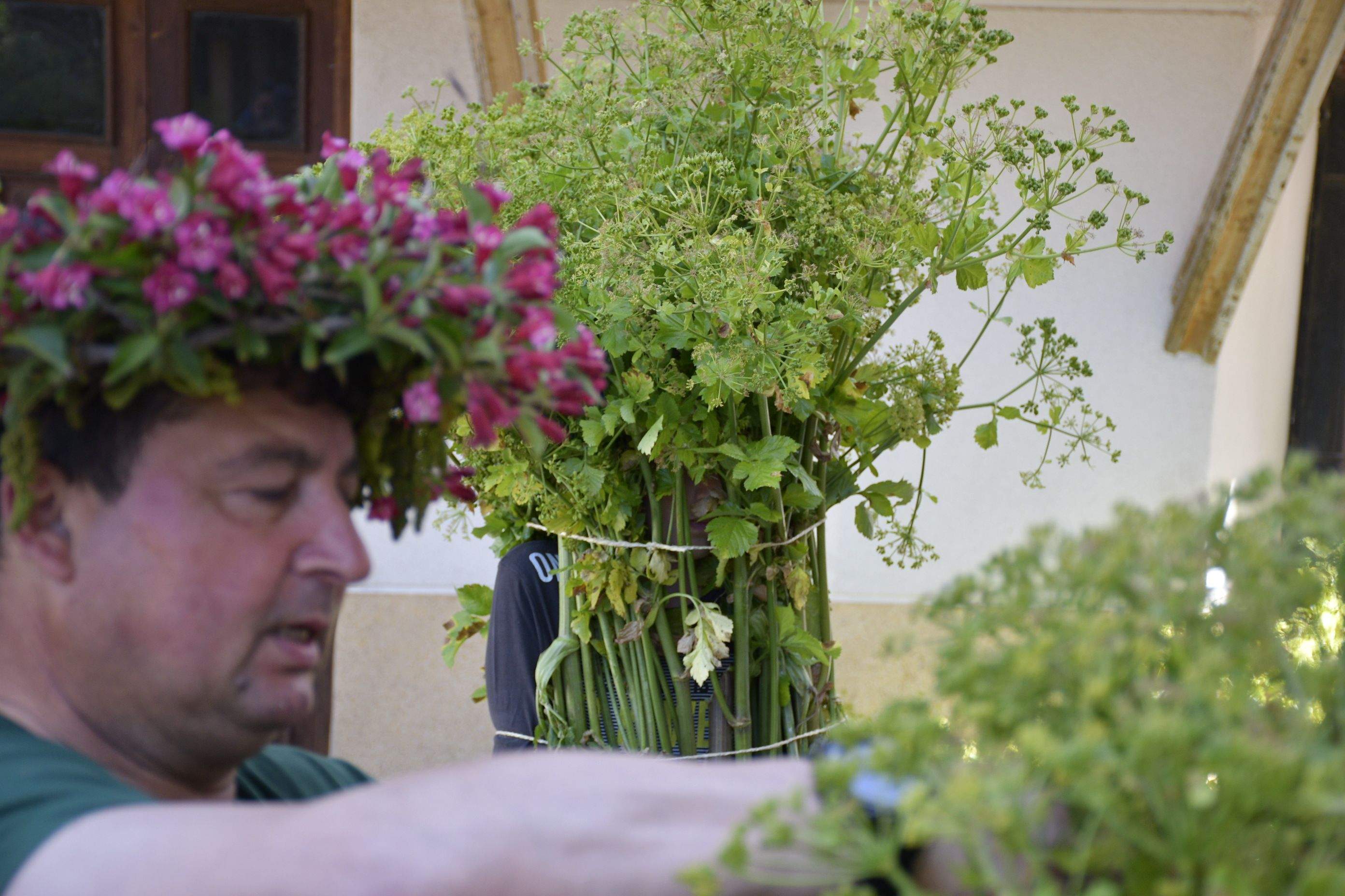 Fiesta de los Maios Villafranca del Bierzo 2023