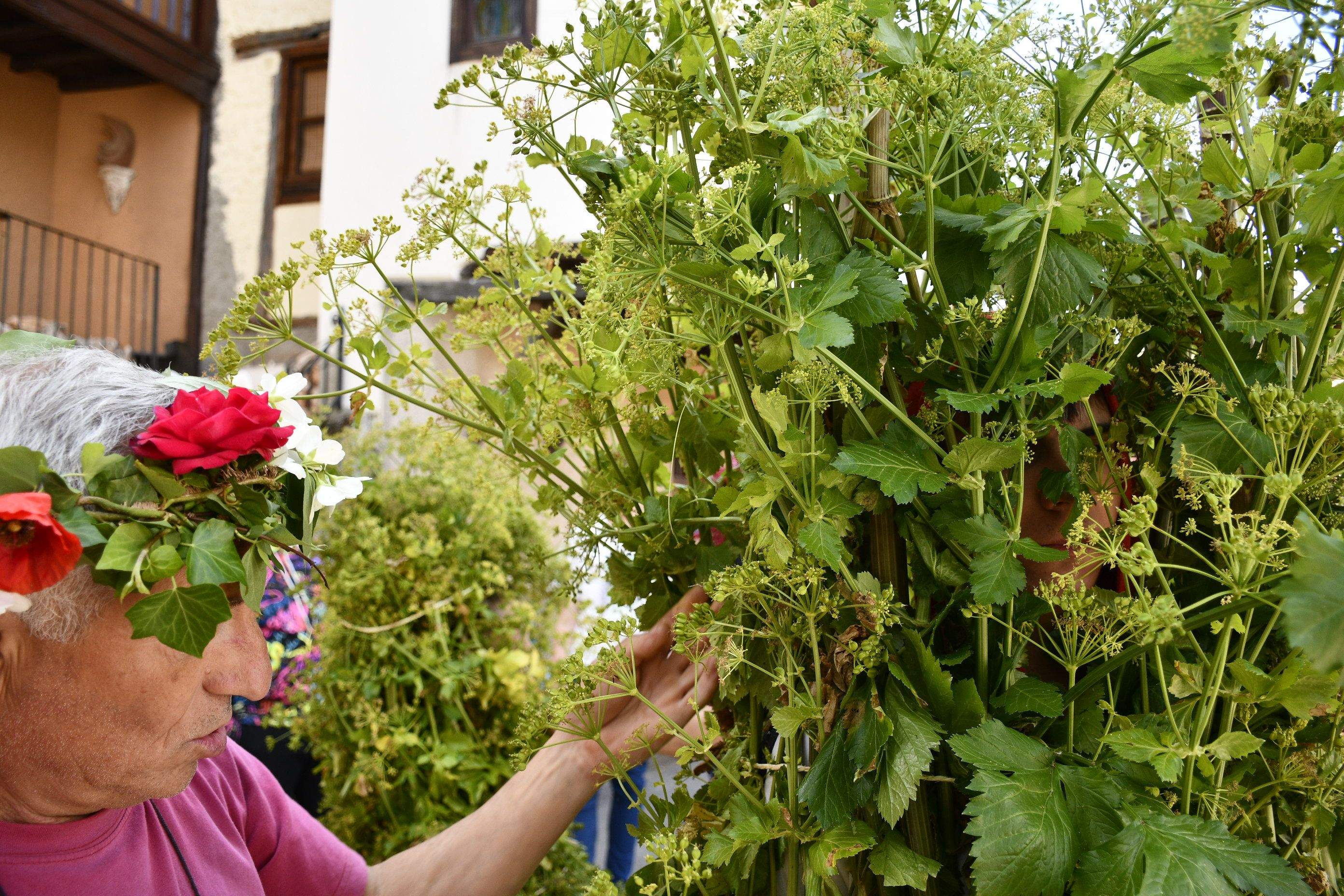 Fiesta de los Maios Villafranca del Bierzo 2023