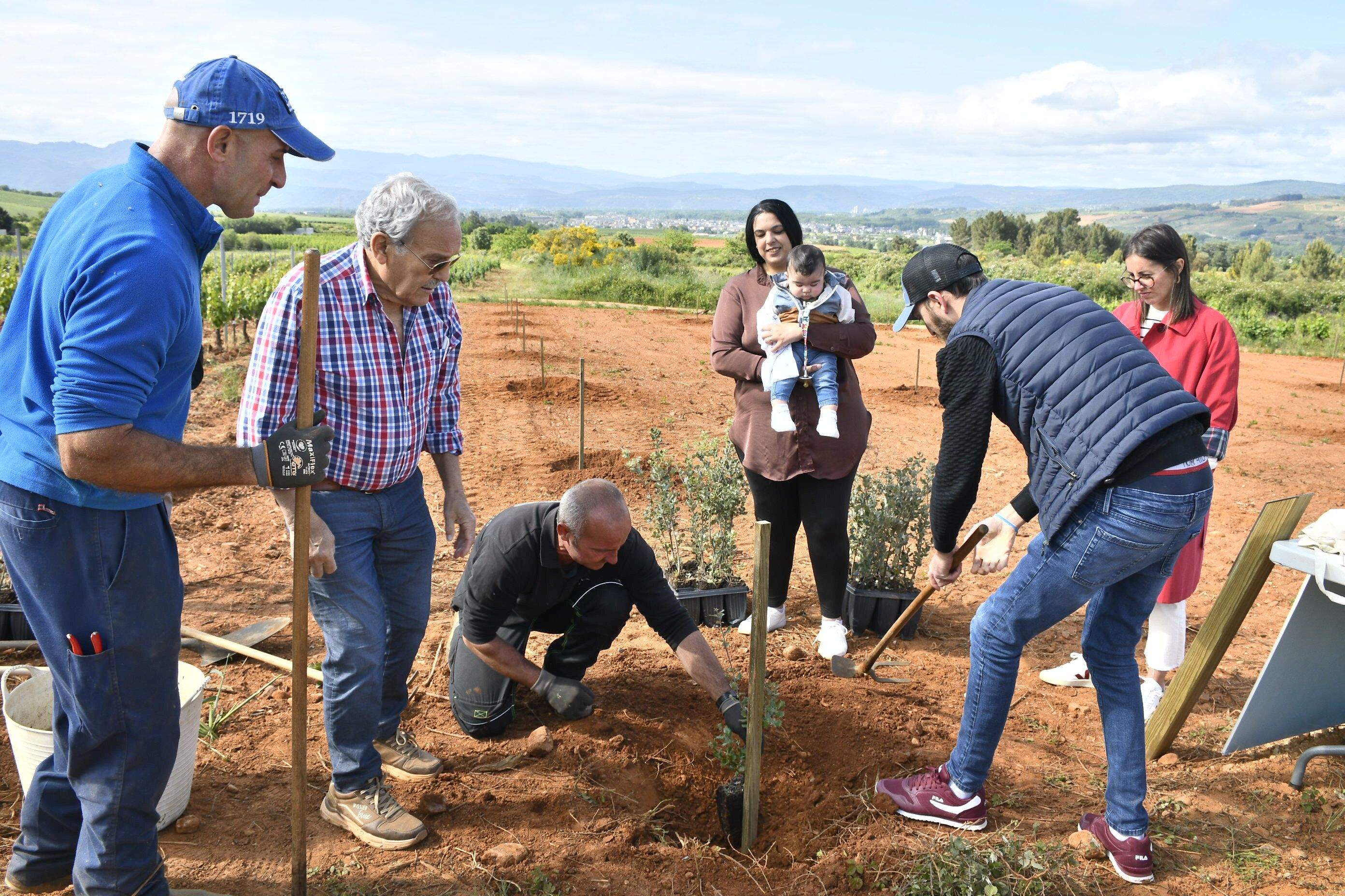 Bosque Prada A Tope Clínica Ponferrada