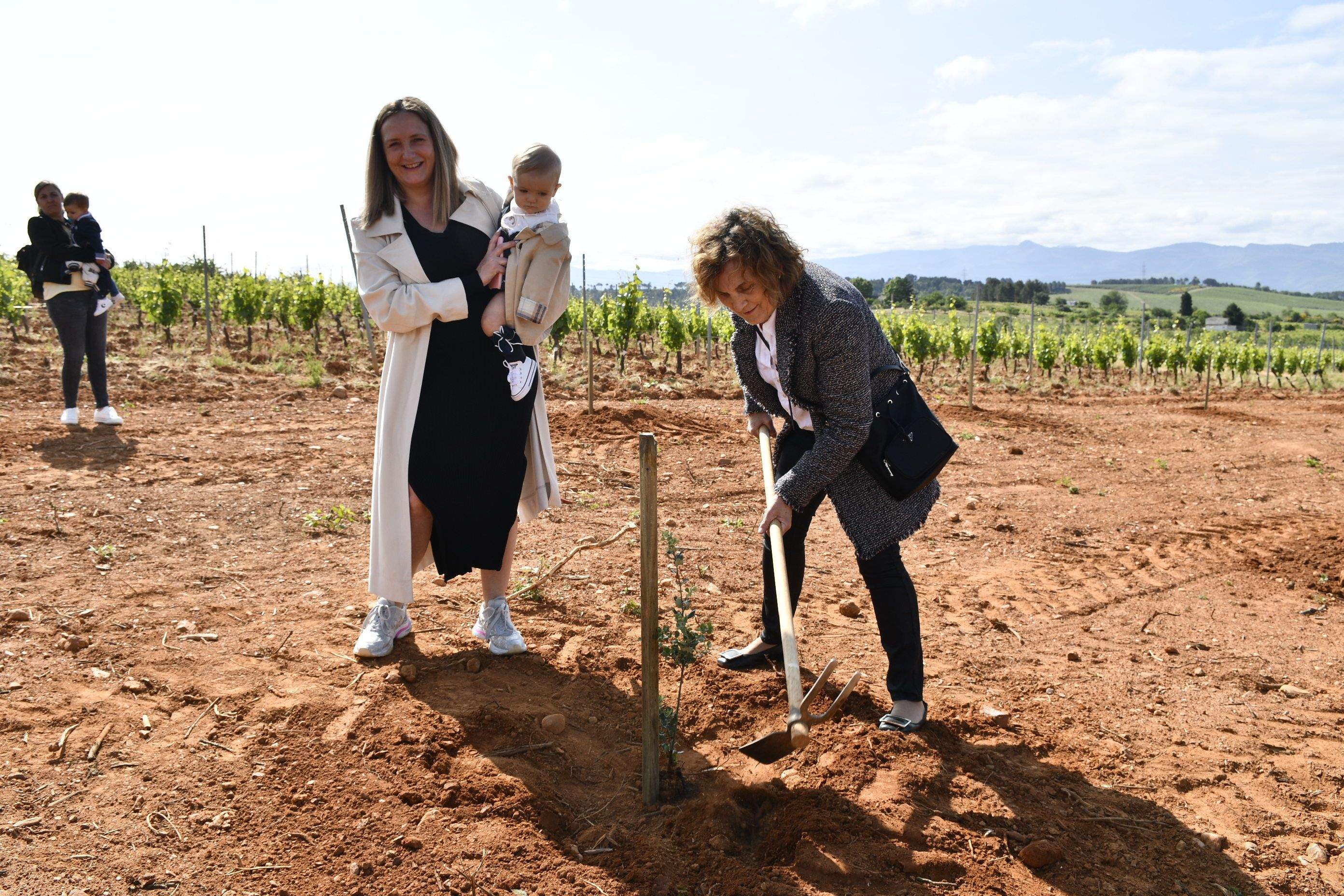 Bosque Prada A Tope Clínica Ponferrada