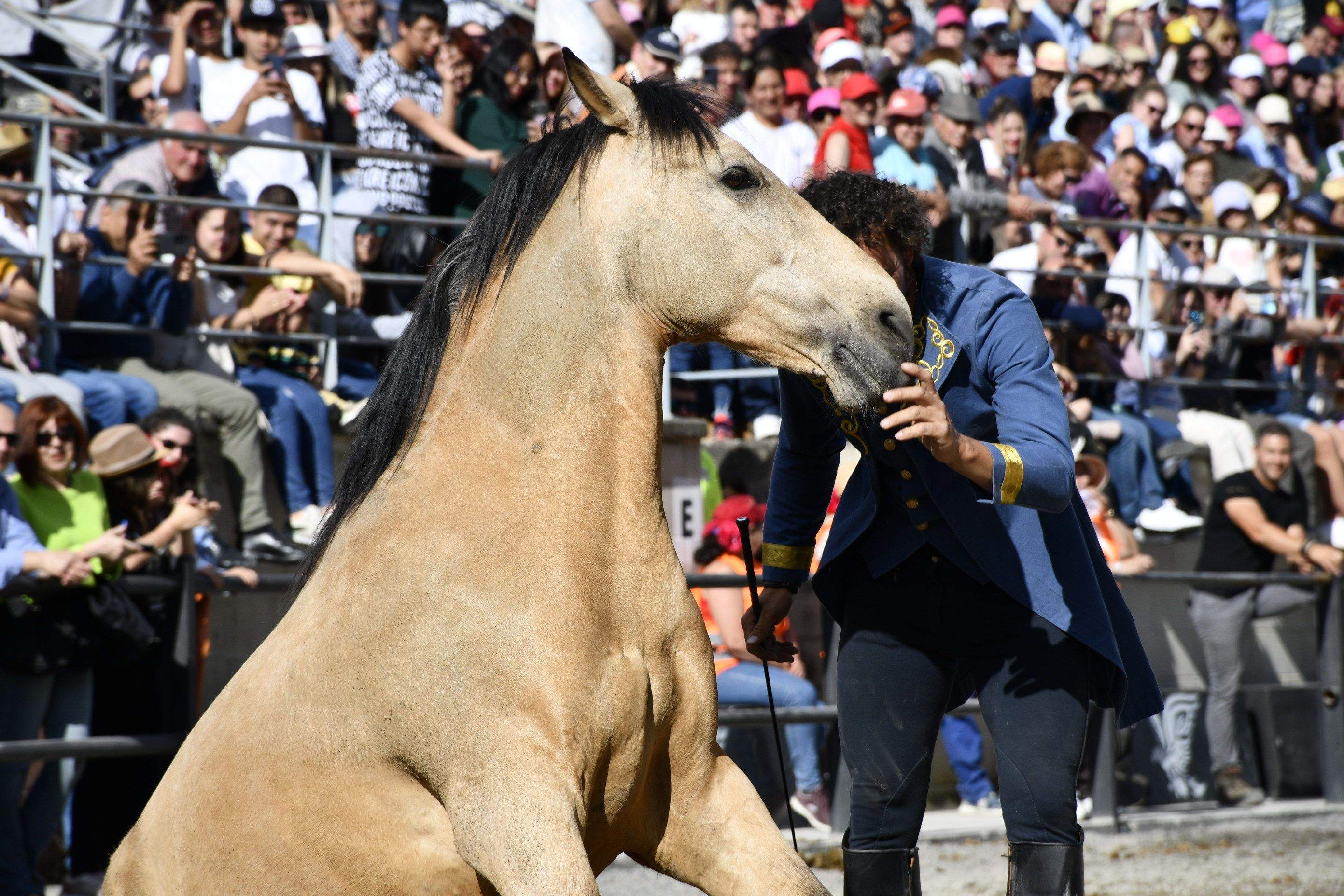 Feria del Caballo de Camponaraya 2023