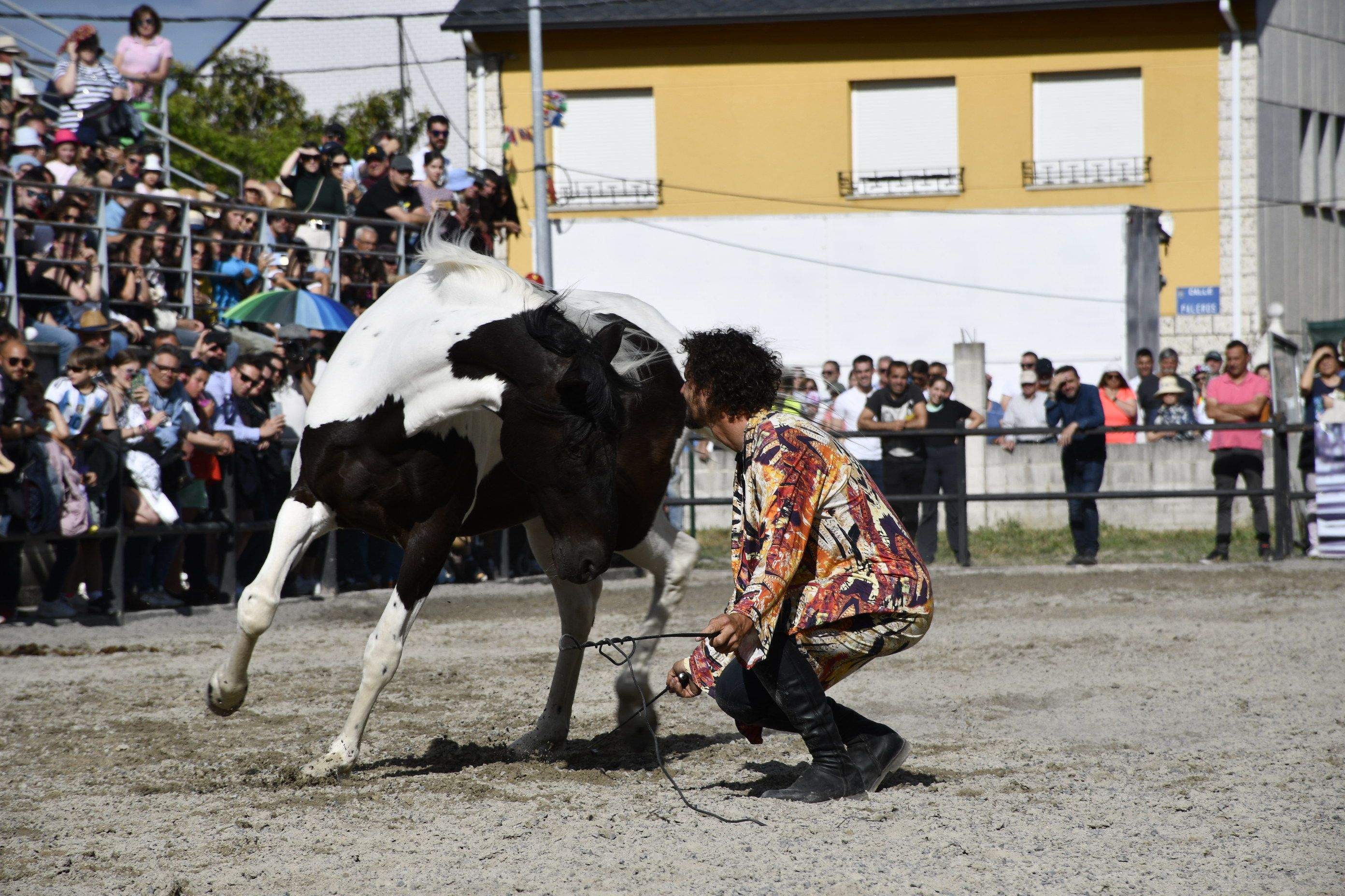 Feria del Caballo de Camponaraya 2023