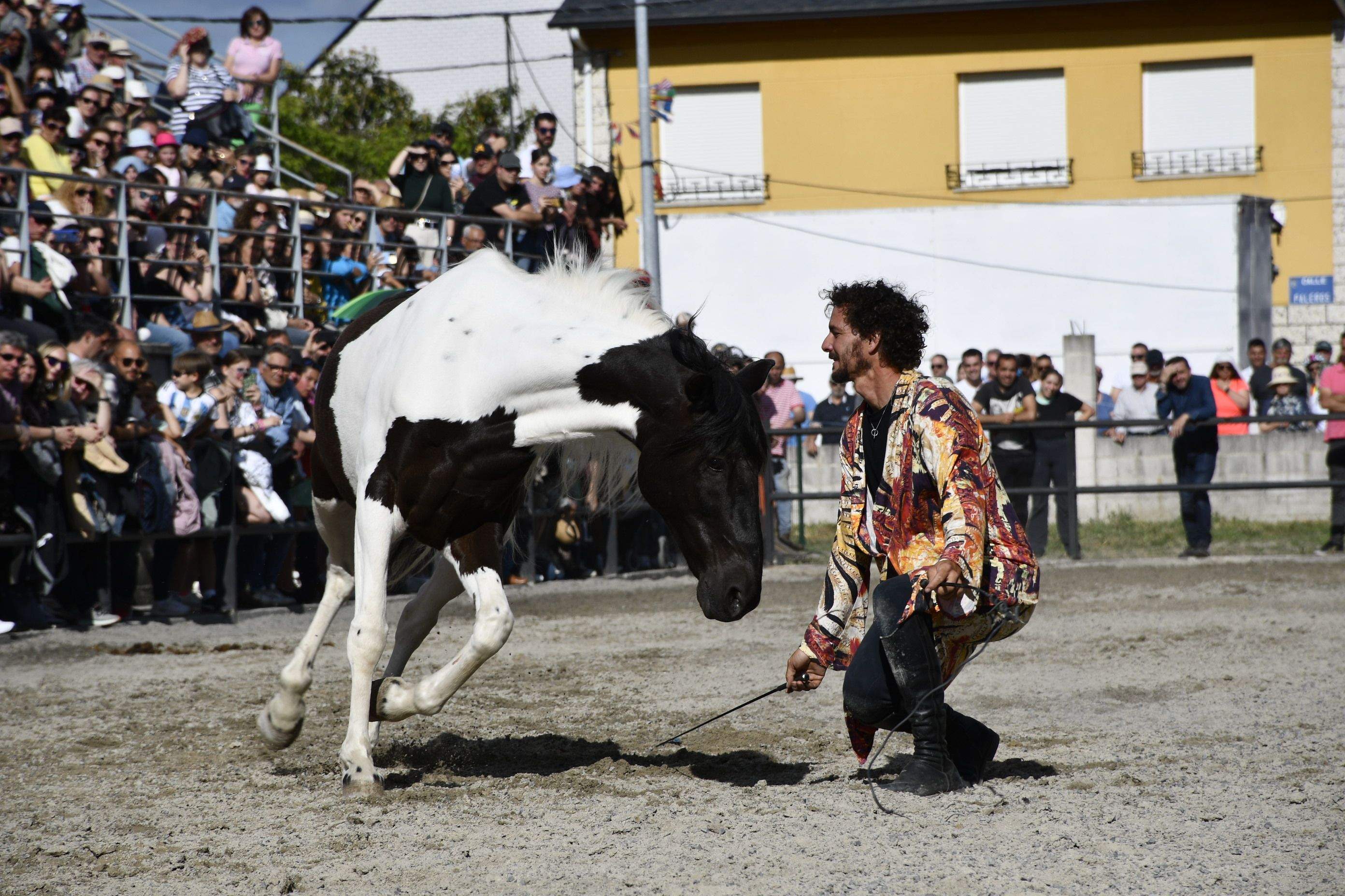 Feria del Caballo de Camponaraya 2023