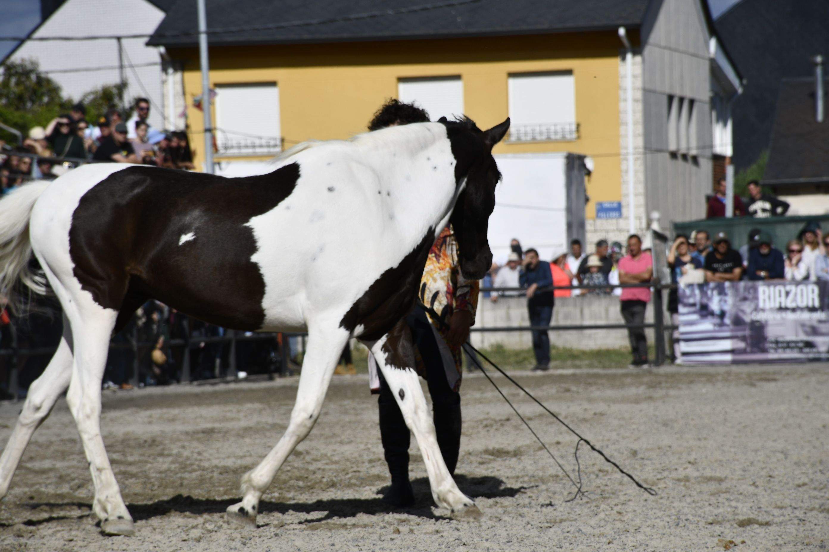 Feria del Caballo de Camponaraya 2023