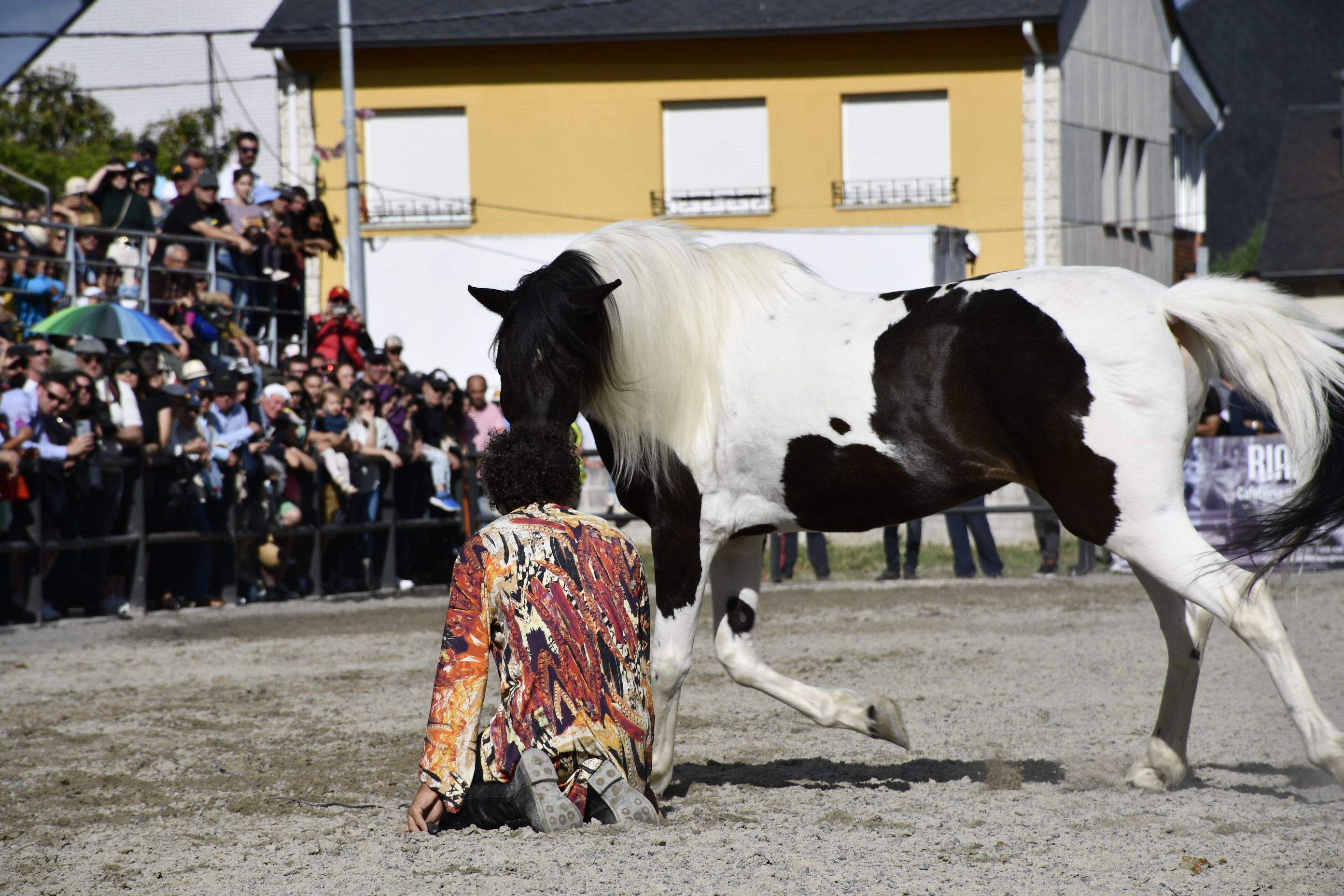 Feria del Caballo de Camponaraya 2023