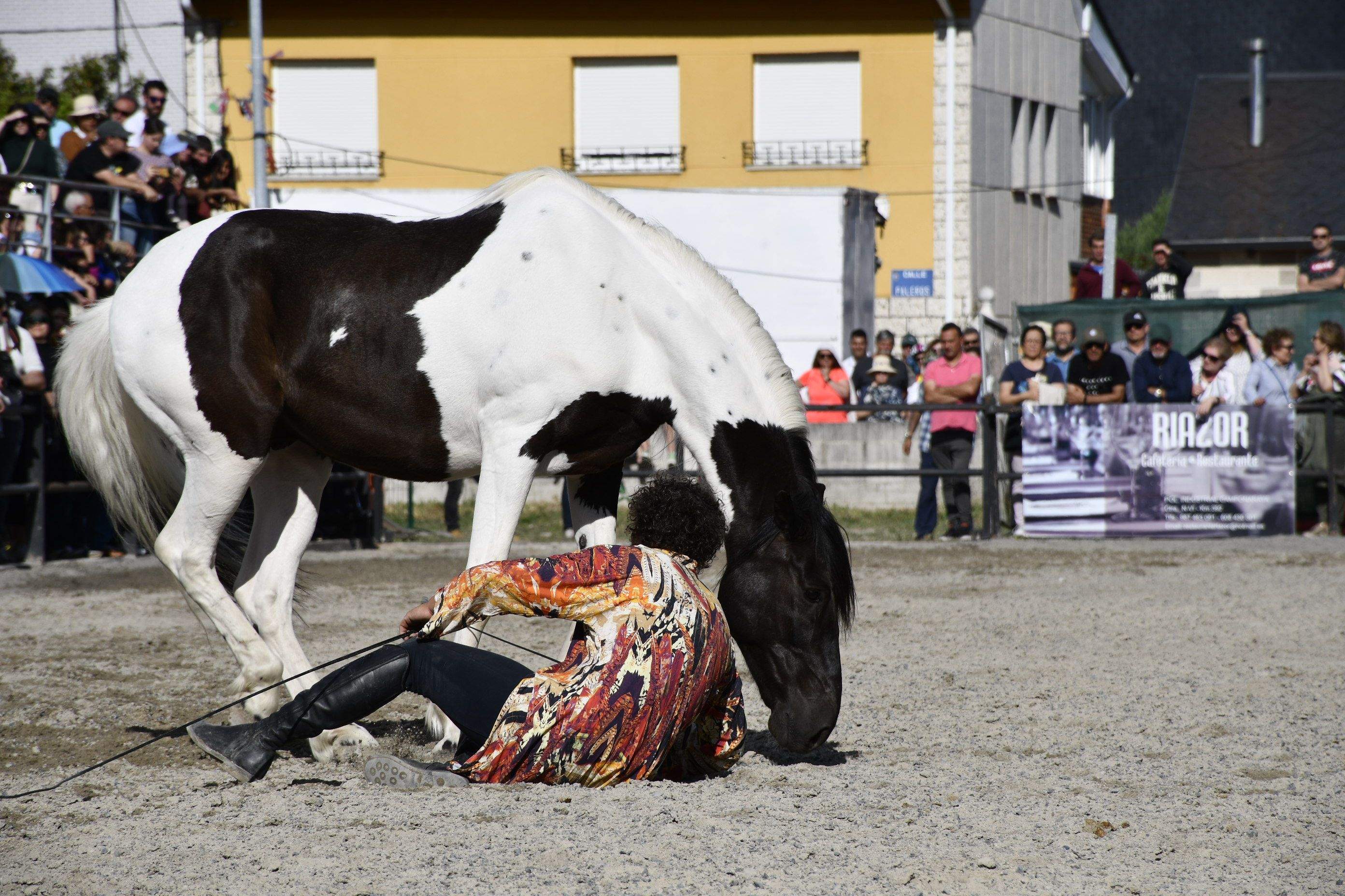 Feria del Caballo de Camponaraya 2023