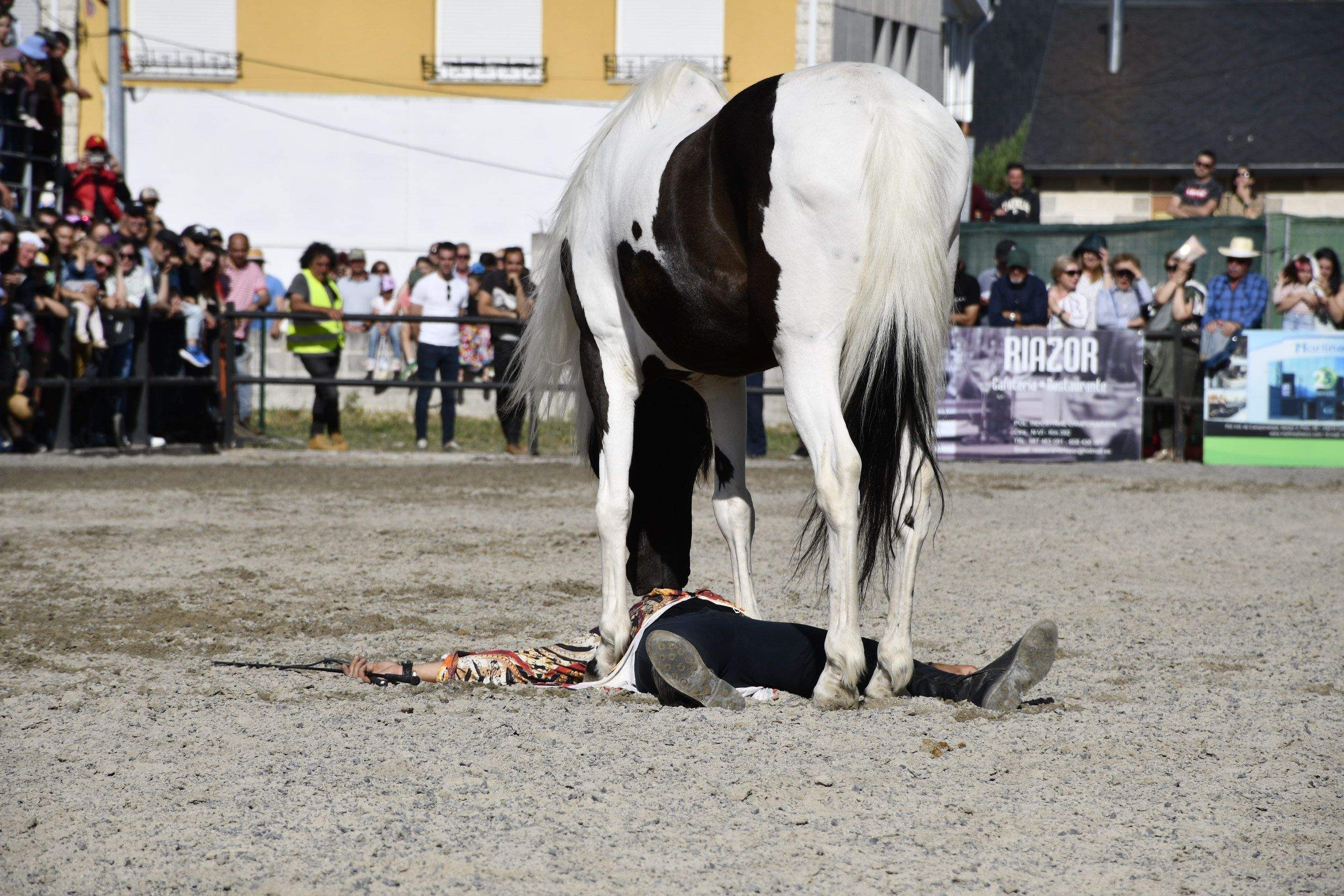 Feria del Caballo de Camponaraya 2023