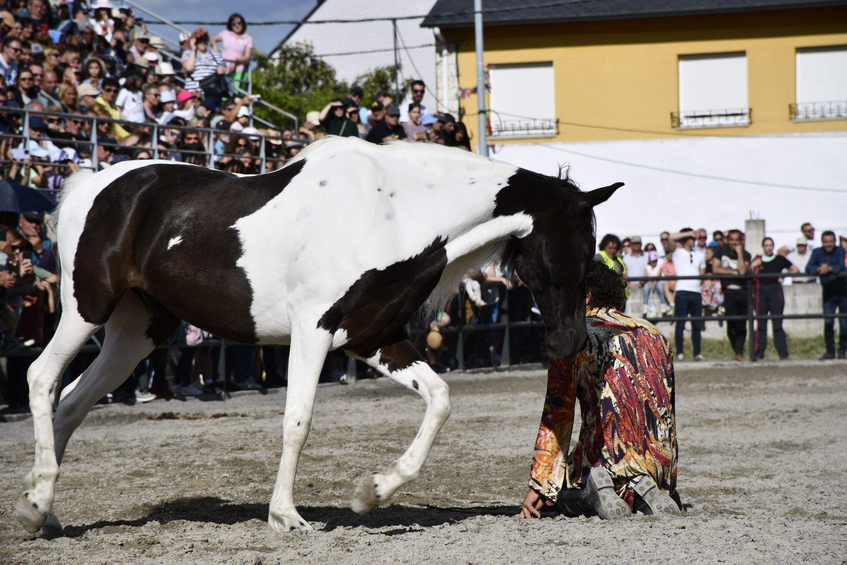 Feria del Caballo de Camponaraya 2023