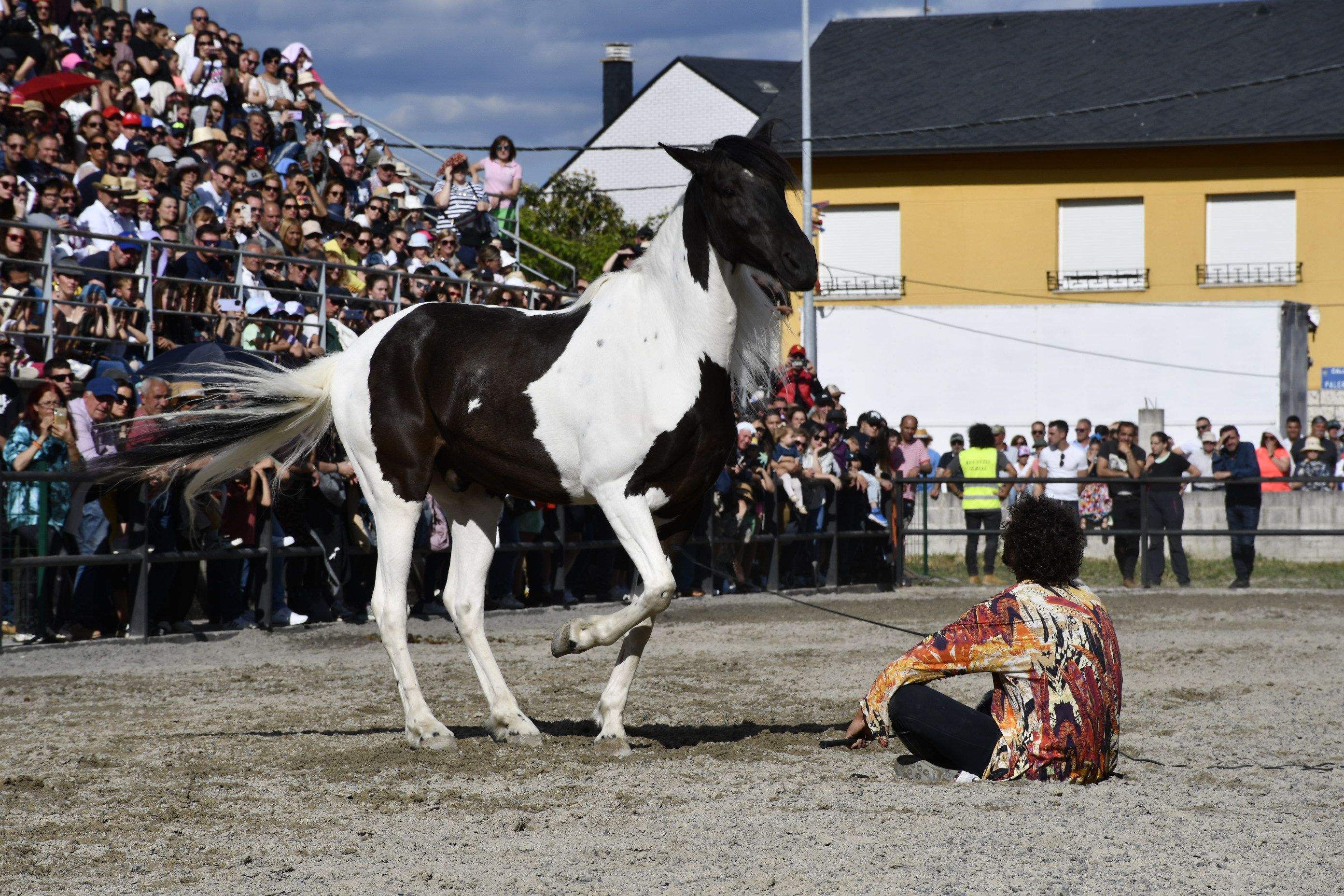 Feria del Caballo de Camponaraya 2023