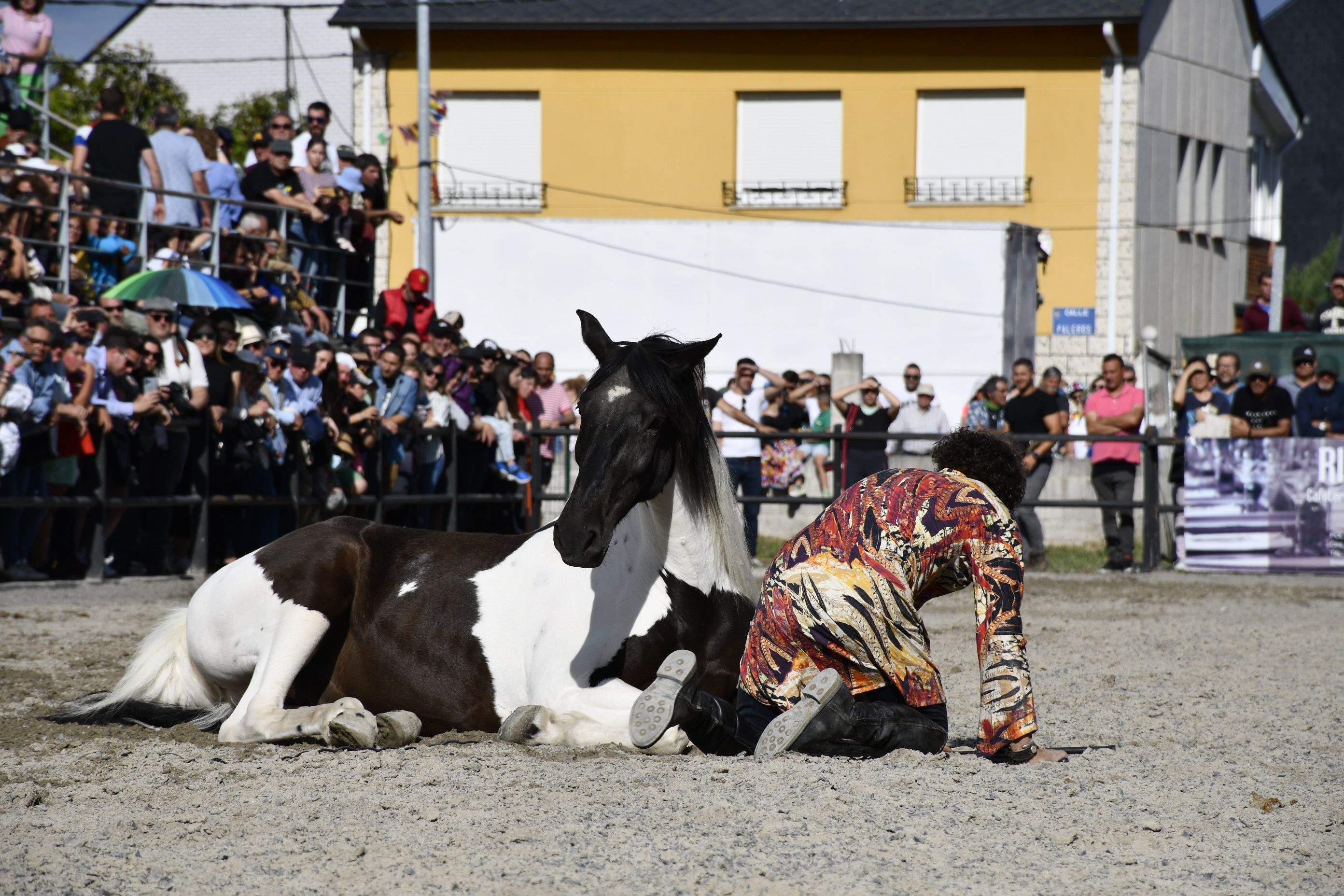 Feria del Caballo de Camponaraya 2023