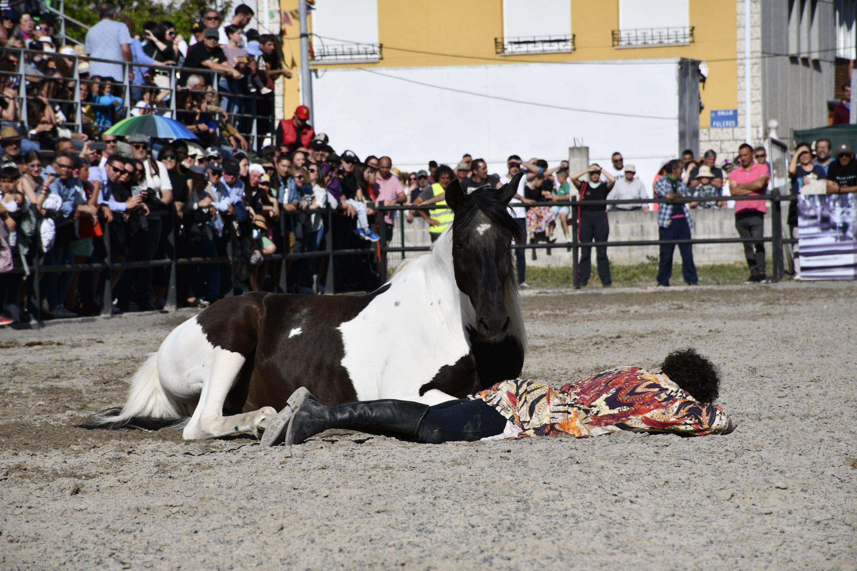 Feria del Caballo de Camponaraya 2023