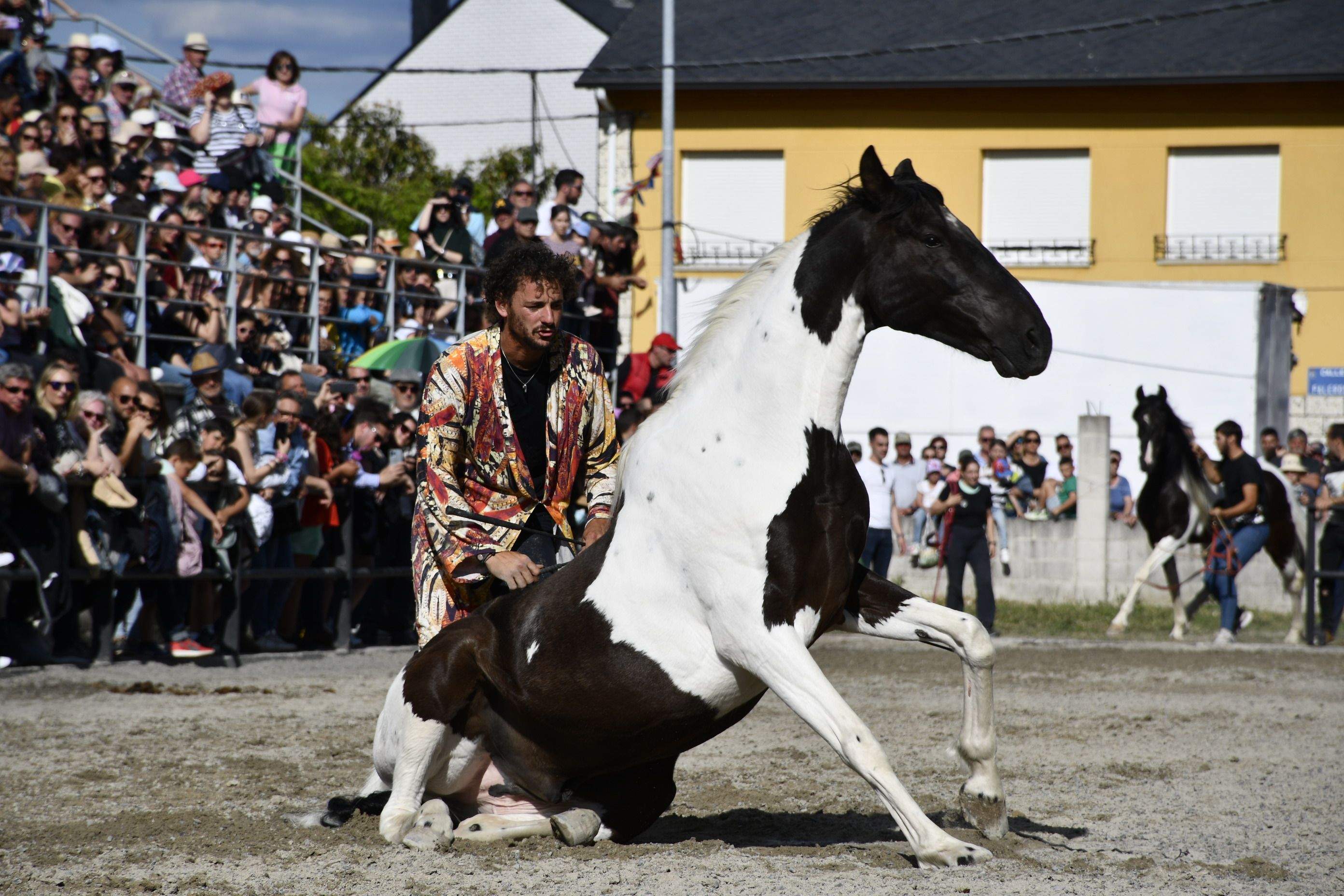 Feria del Caballo de Camponaraya 2023