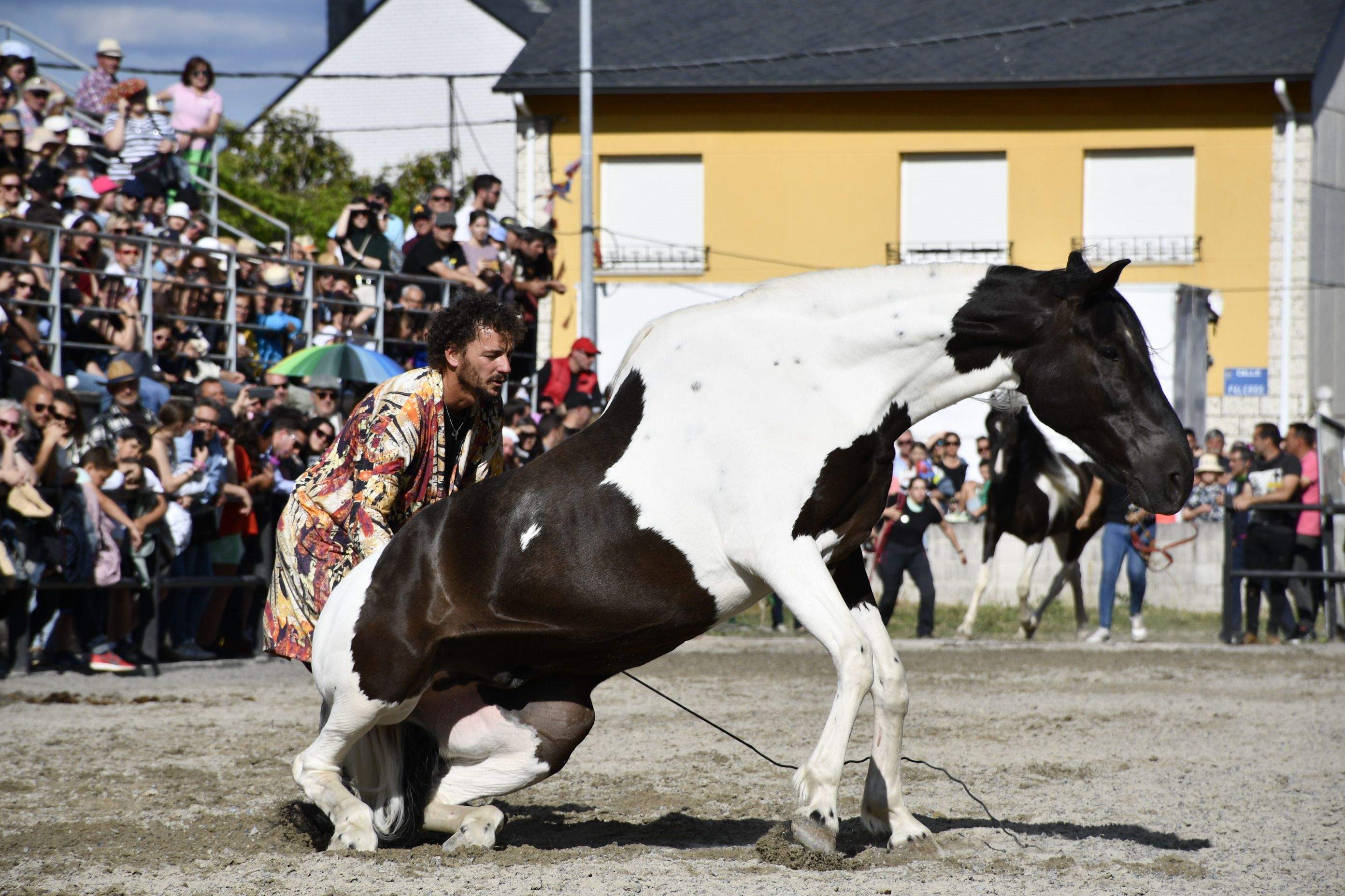 Feria del Caballo de Camponaraya 2023