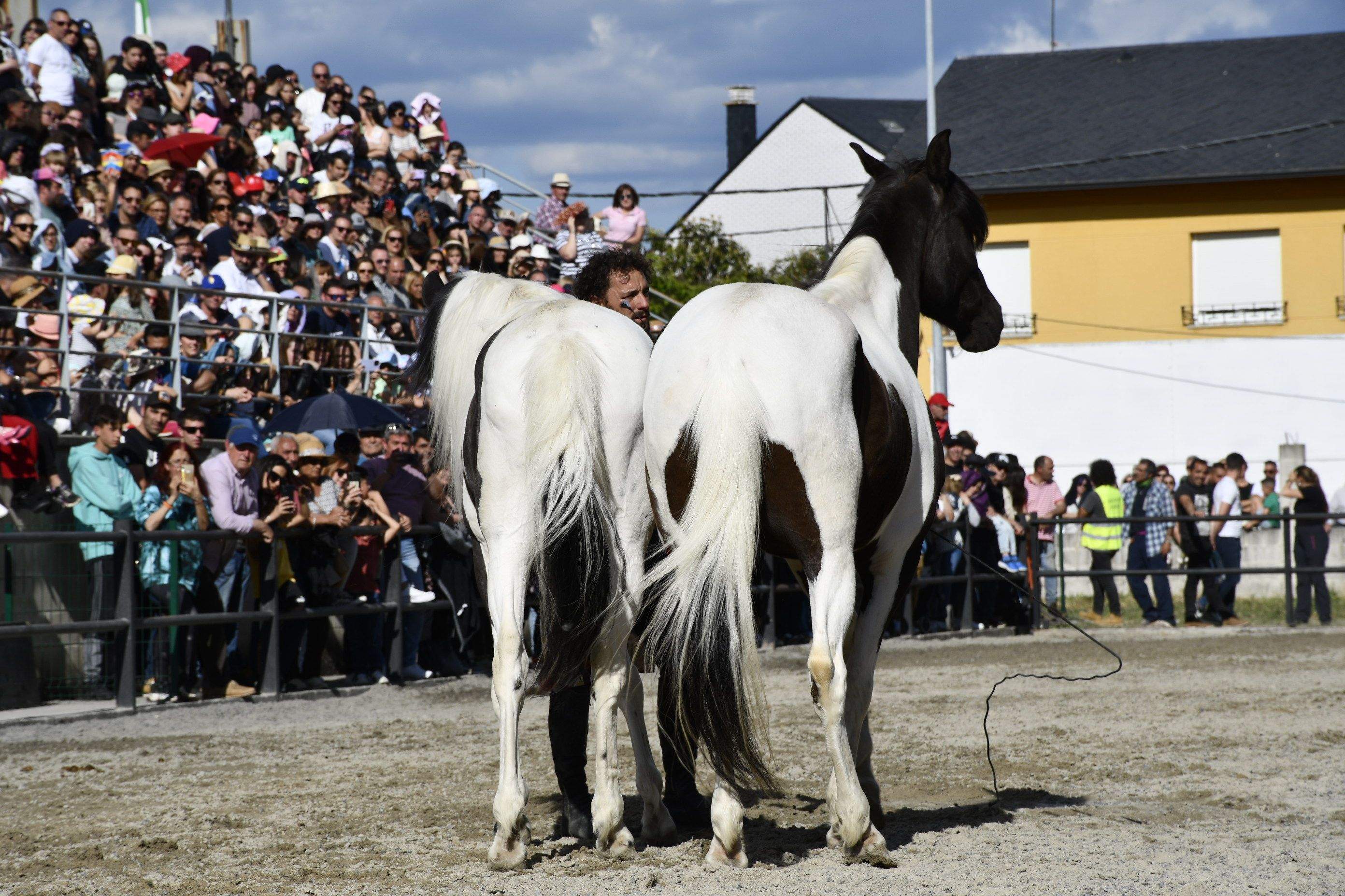 Feria del Caballo de Camponaraya 2023