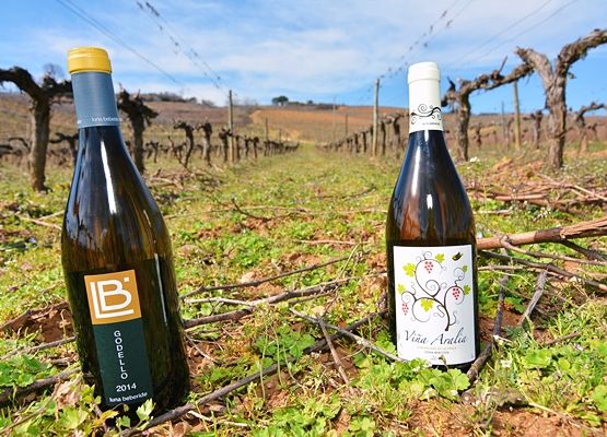 (Fotos de Víctor Alón)