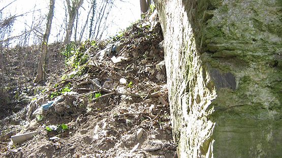 20150314_016