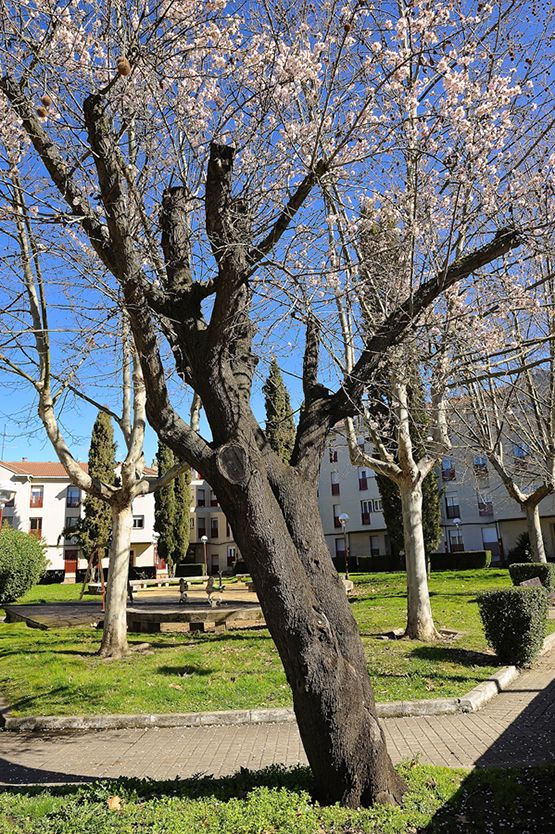 20150424_033