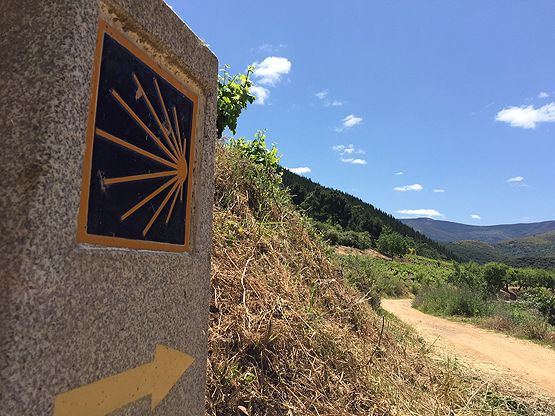 El camino de Invierno señalizado en El Pajariel, cerca de Toral de Merayo