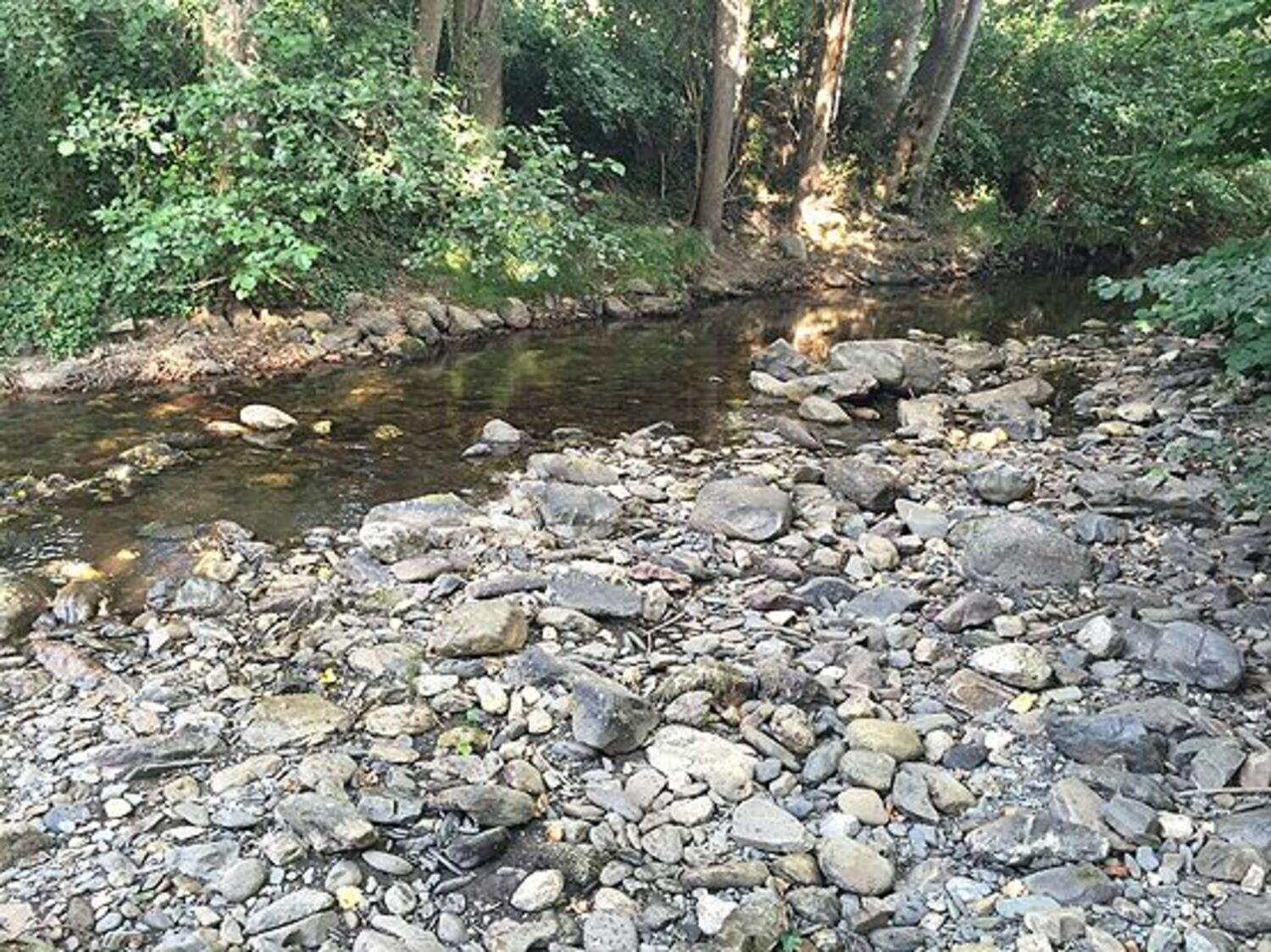 Estado actual del río Oza a su paso por Toral de Merayo