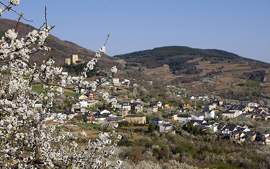 Corullón durante la floración de sus cerezos, un atractivo turístico del municipio
