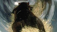 20121027_003 20121027_003