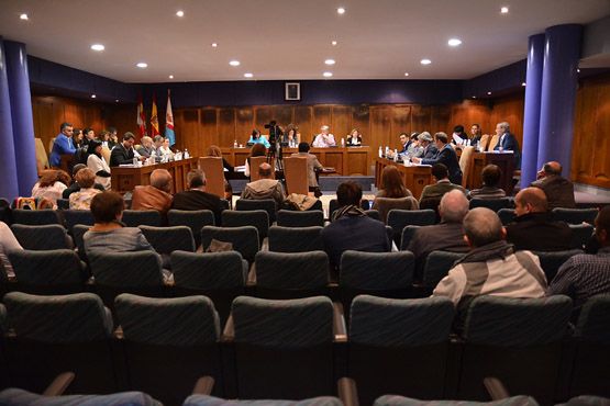 El pleno ha aprobado el pago de la deuda de 2014 a la concesionaria del TUP / Víctor Alón