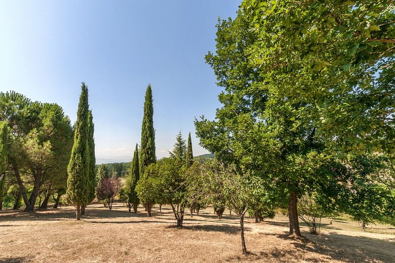 15 Casa Canedo Jardín