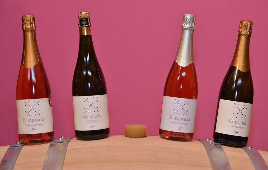 Xamprada, de Prada a Tope.