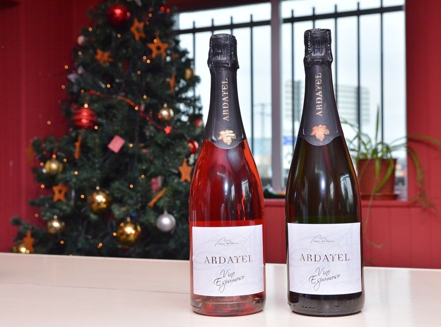 lorena camponaraya.1