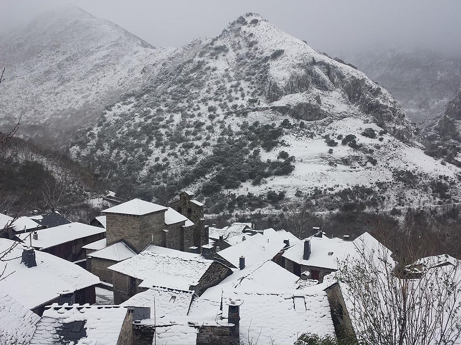 12697115_461919440679445_7349992811202513868_o