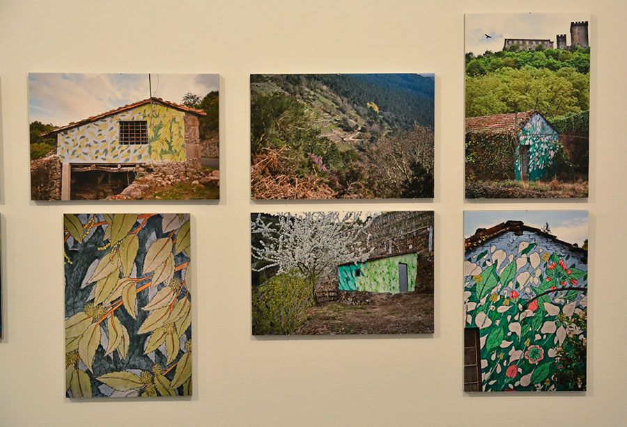 000_0022-01_resized_0