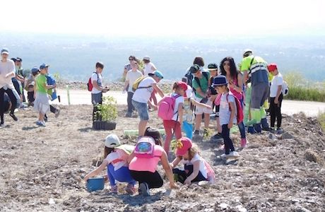 160520 Plantación cerezos