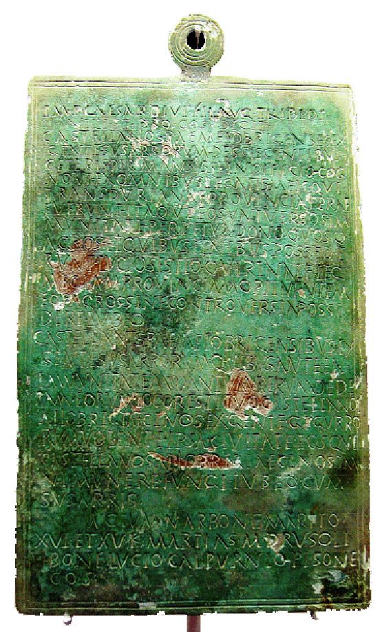 84ad5a8a-6034-49ec-99d4-045ac66813cb copy