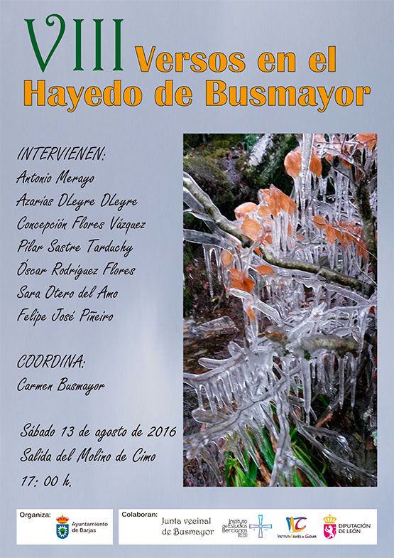 CartelVIIIVersosHayedoBusmayor